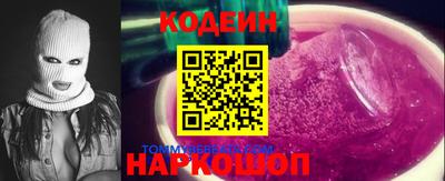 крисы Кулебаки