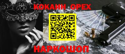 крисы Кулебаки