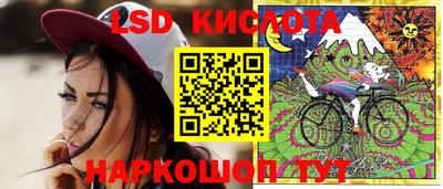 крисы Кулебаки