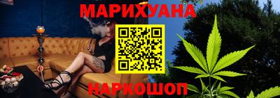 крисы Кулебаки