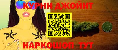 крисы Кулебаки