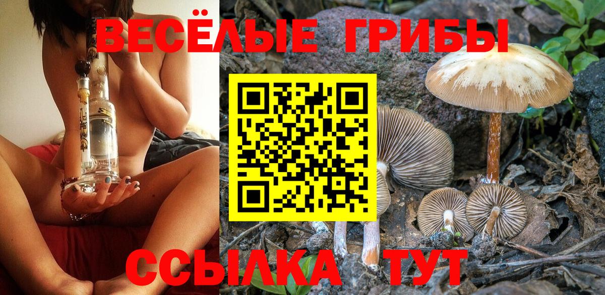 Псилоцибиновые грибы Psilocybe Кимовск