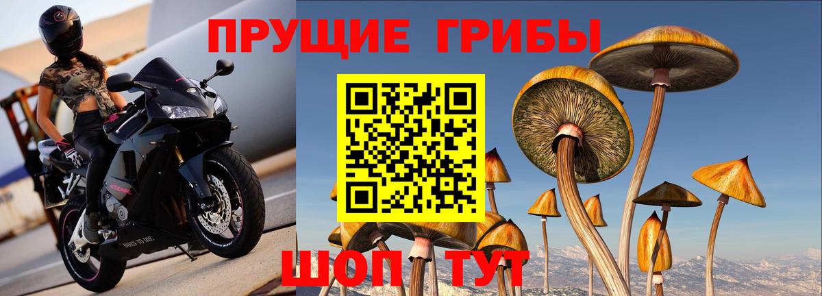 Кимовск  Псилоцибиновые грибы Magic Shrooms  Вход с VPN 
